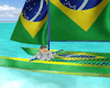 Brazil's Catamaran