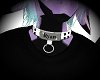 Custom Collar