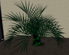 Green Plant  (SKJ)