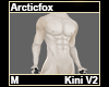 Arcticfox Kini M V2