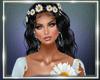 Daisy Blue Bundle