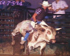 Cowboy on Bull