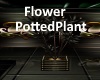 [BD]FlowerPottedPlant