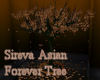 Sireva Asia Forever Tree