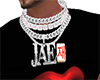 Custom necklace JAE