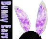k~ animated bunny ears