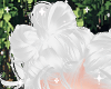♡ Baby White