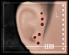 [xx]Red Ear Dermals L