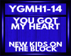 nkotb YGMH1-14
