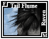 Raven Tail Flume