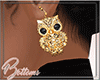 ß Gold Owl Earrings