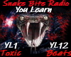 Alanis M.: You Learn