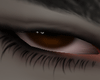 Brown Goth Eyes