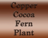 [CFD]Copper Cocoa Plt2