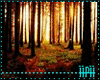Ambient Forest Love Dark