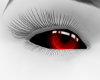 𝒩. Berry Eyes BO F/M