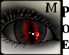 (Poe) NEKOViz_Scratch