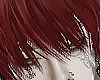 𝟭. Zay red
