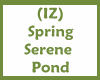 (IZ) Spring Serene Pond