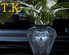 T.K Wolf  Vase