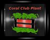 Coral Club Plant