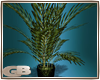 [GB]Decorative palms