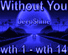 D.s Without You  mix