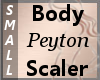 Body Scaler Peyton S