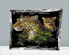 (#)picture tiger animate