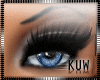 -KW- Gray Mac Eye Shadow