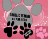 ~AM~ C* Paws Off v2