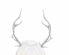 yinyang horns wht