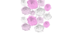 Rose wall