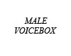 Male voicebox1