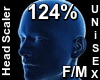 F/M Head Scaler 124%