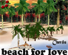 beach for love