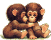 Kissing Monkey