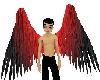 Red Black Wings