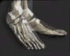llzM.. Skull Feet