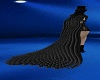 Cloak Black feather