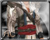 AC: Kenway Armor