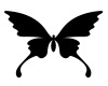 CS Butterfly in Black