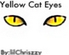 Yellow Cat Eyes