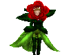 Rose Flower girl