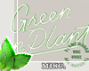 !Ⓜ green plant"