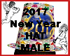 2017 New Year Hat MALE