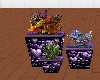 LL-Purple hrts plant set