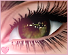 Starry - Forest Eyes