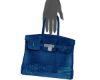 👽 Sapphire Purse -R