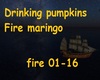 Drinking pumpkins Fire m